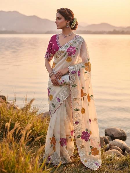 Vinayak kacchi gotawork retail saree shop in surat